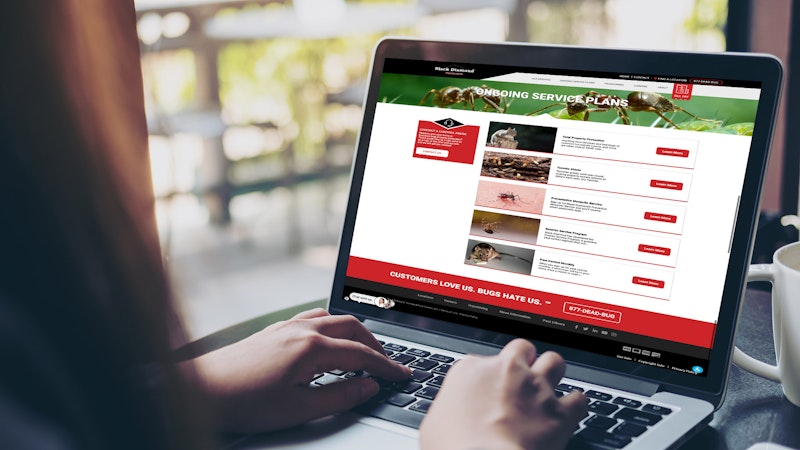 Black Diamond Web Design By Hatfield Media Ongoing Service Plans